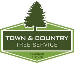 Town and Country Tree Service